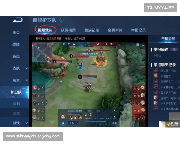 王者荣耀鹰眼护卫队是否真的值得加入玩家的选择与体验分析 王者荣耀鹰眼护卫队是否真的值得加入玩家的选择与体验分析
