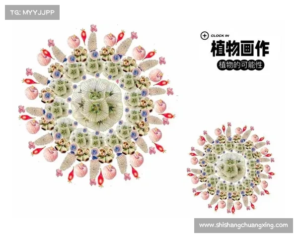 探索生命的无尽可能:如何活出无限精彩与意义 探索生命的无尽可能:如何活出无限精彩与意义
