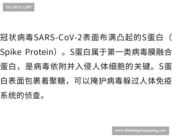 恶毒魔法书的秘密揭露：你必须了解的三大核心知识