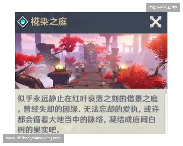 解密暗影狂奔自由之战背后的秘密与历史背景