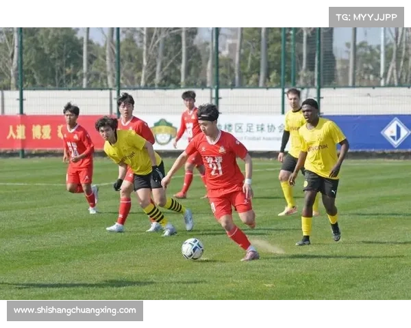 德甲新兴势力崛起 挑战传统豪门的足球勇士之路 德甲新兴势力崛起 挑战传统豪门的足球勇士之路